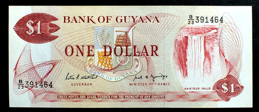 1 Dolar - Gujana