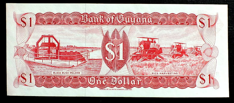 1 Dolar - Gujana