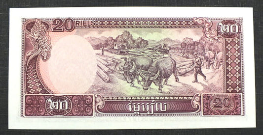 20 Riels - Kambodża 1979 r.