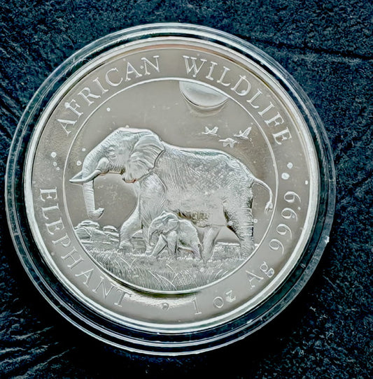 Somalia100 szylingów African Wildlife - Słoń (1 OZ Ag) - 2022 r.