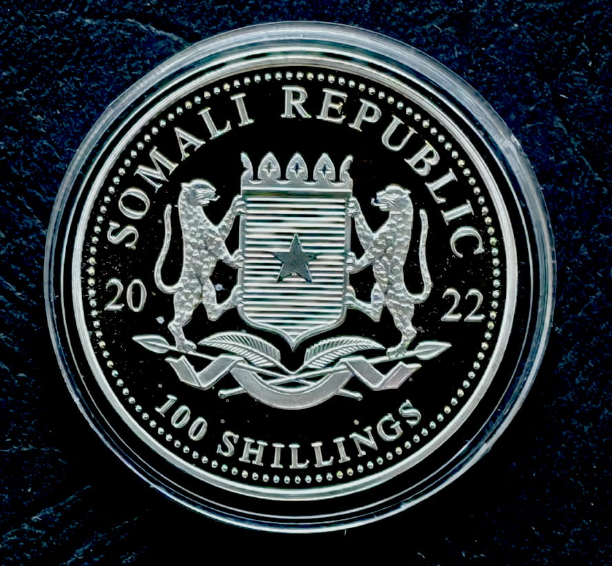 Somalia100 szylingów African Wildlife - Leopard (1 OZ Ag) - 2022 r. (1)