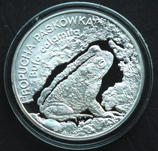 20 zł Ropucha paskówka