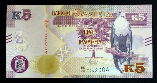 5 Kwacha - Zambia - 2020 r.
