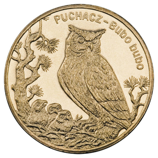 2 zł Puchacz (łac. Bubo bubo)