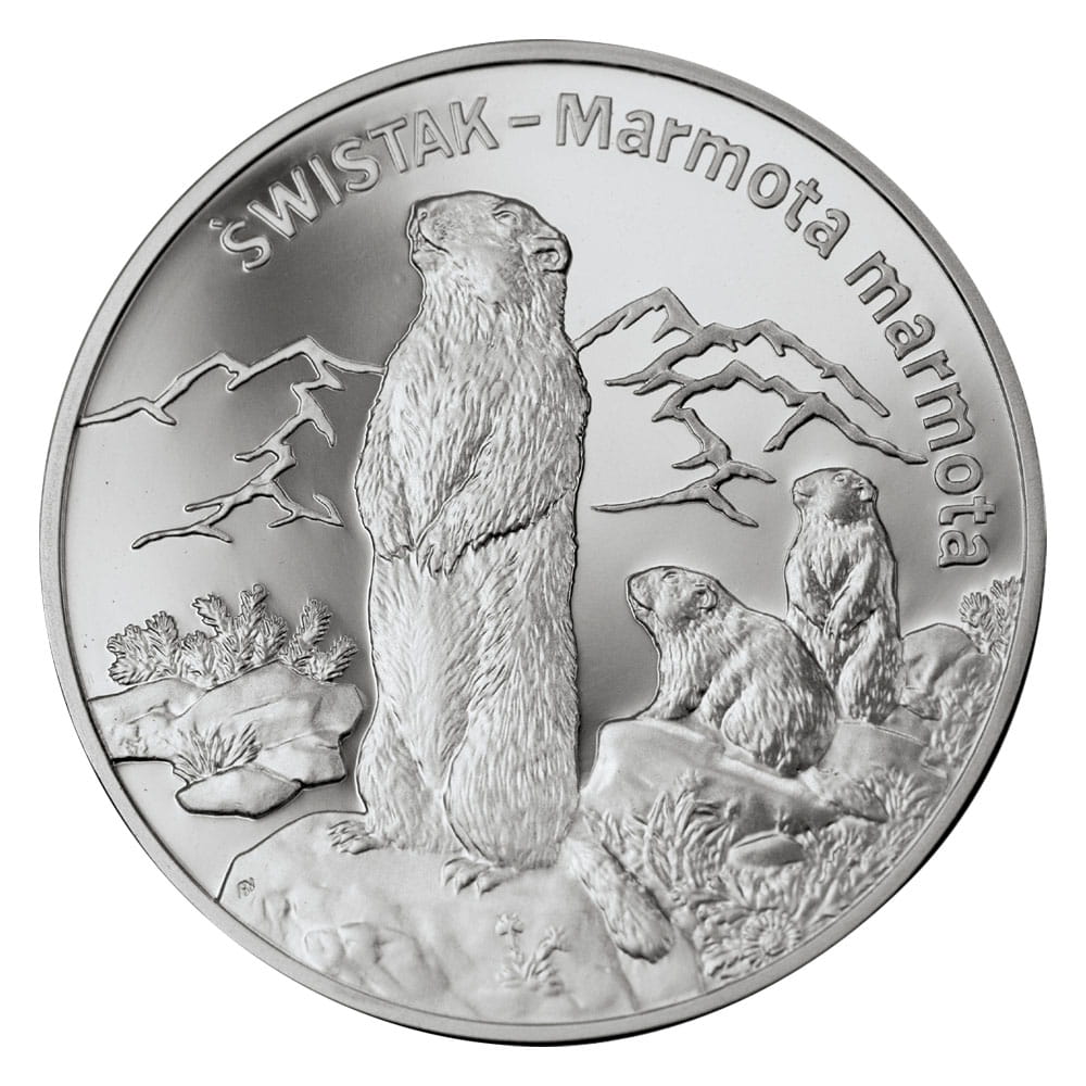 20 zł Świstak (łac. Marmota marmota)