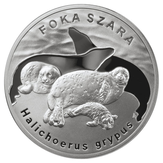 20 zł Foka szara (łac. Halichoerus grypus)
