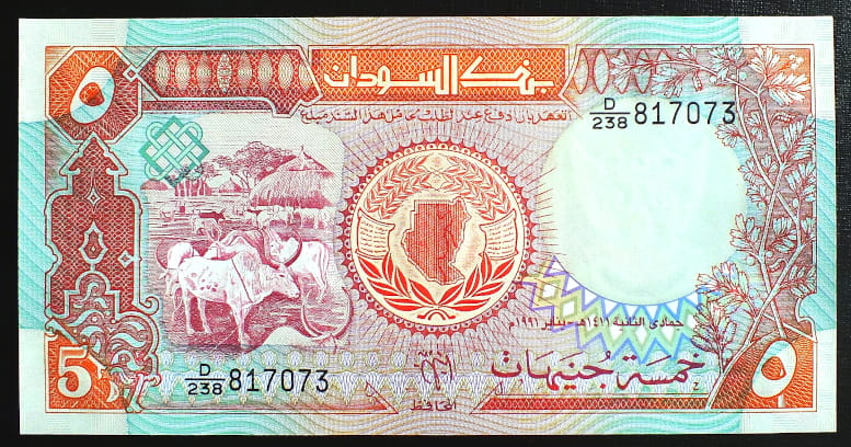 5 Pounds - Sudan 1991 r.