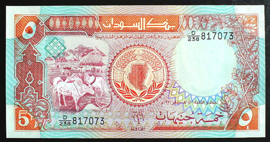 5 Pounds - Sudan 1991 r.