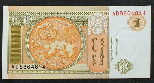 1 Turgik - Mongolia 1993 r.
