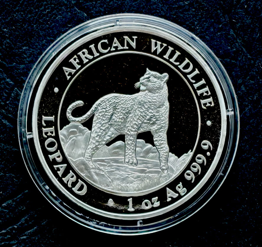 Somalia100 szylingów  African Wildlife - Leopard (1 OZ Ag) - 2022 r.  (1)