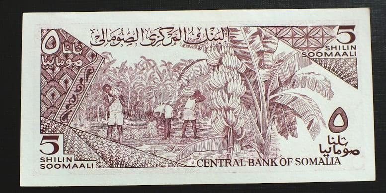 5 Szylingów - SOMALIA
