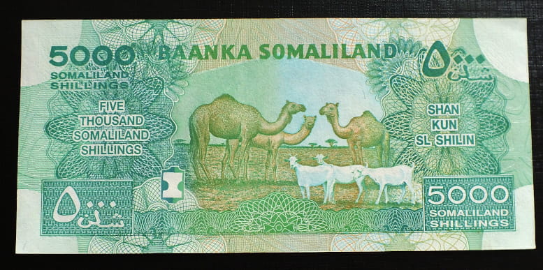 5000 Szylingów - Somaliland