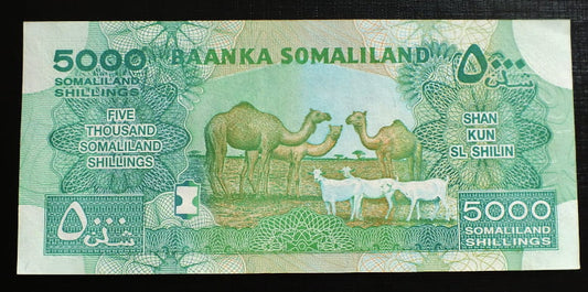 5000 Szylingów - Somaliland