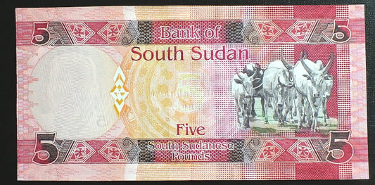 5 Funtów - Sudan Południowy