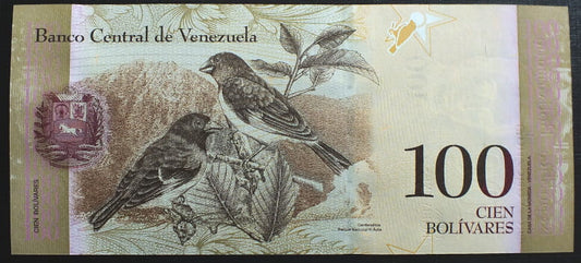 100 Bolivarer - Wenezuela