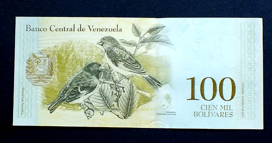 100 Bolivarer - Wenezuela 2017 r.