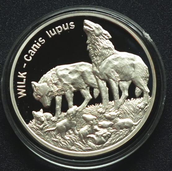 20 zł Wilk (łac. Canis lupus)