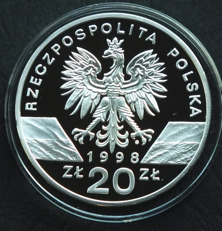 20 zł Ropucha paskówka